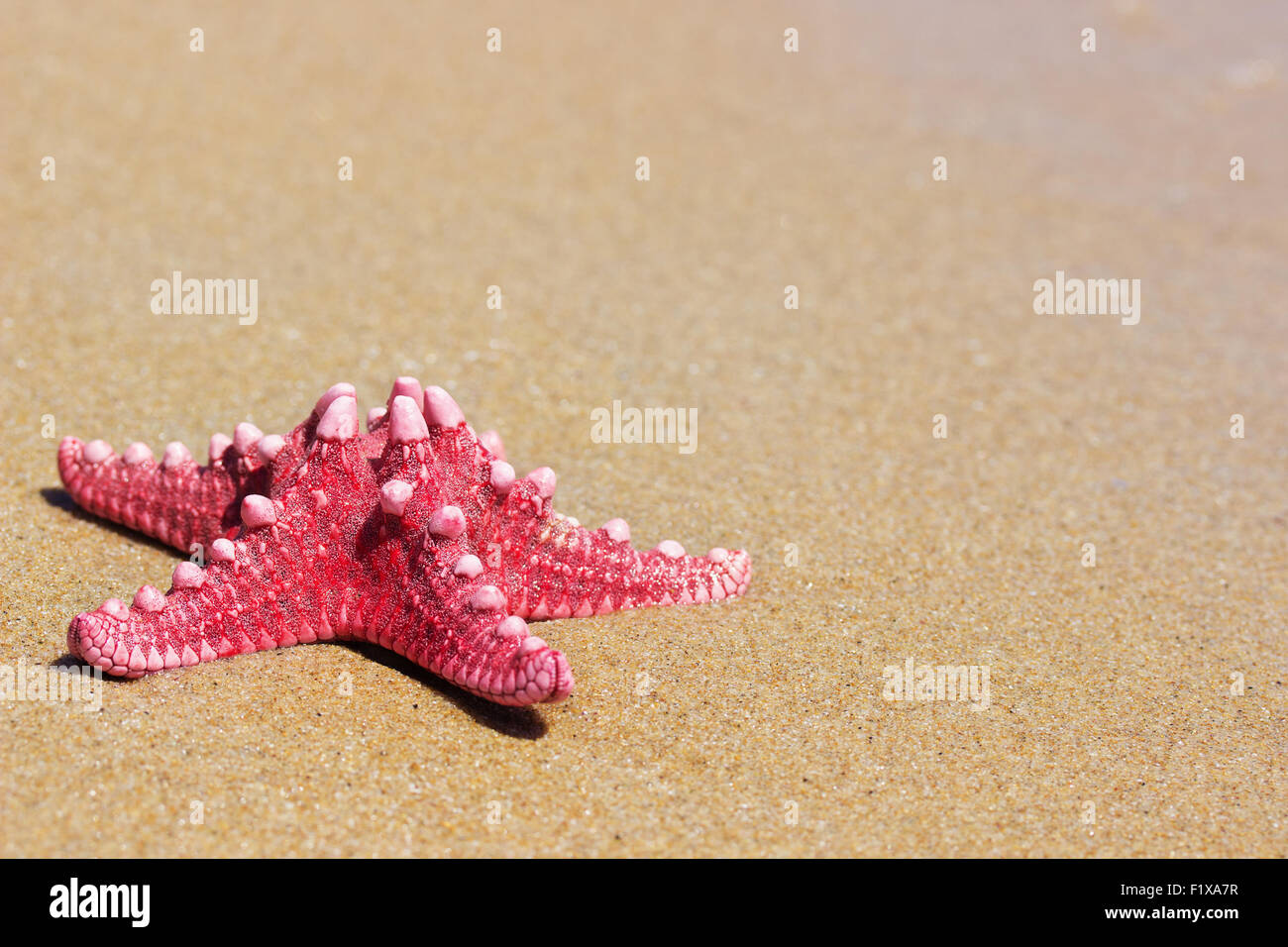 L'étoile rouge sur la plage de sable. Banque D'Images