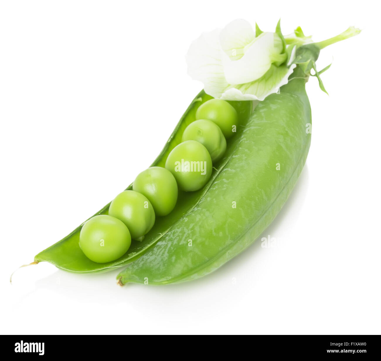 Les pois verts en coquille isolé sur le fond blanc. Banque D'Images