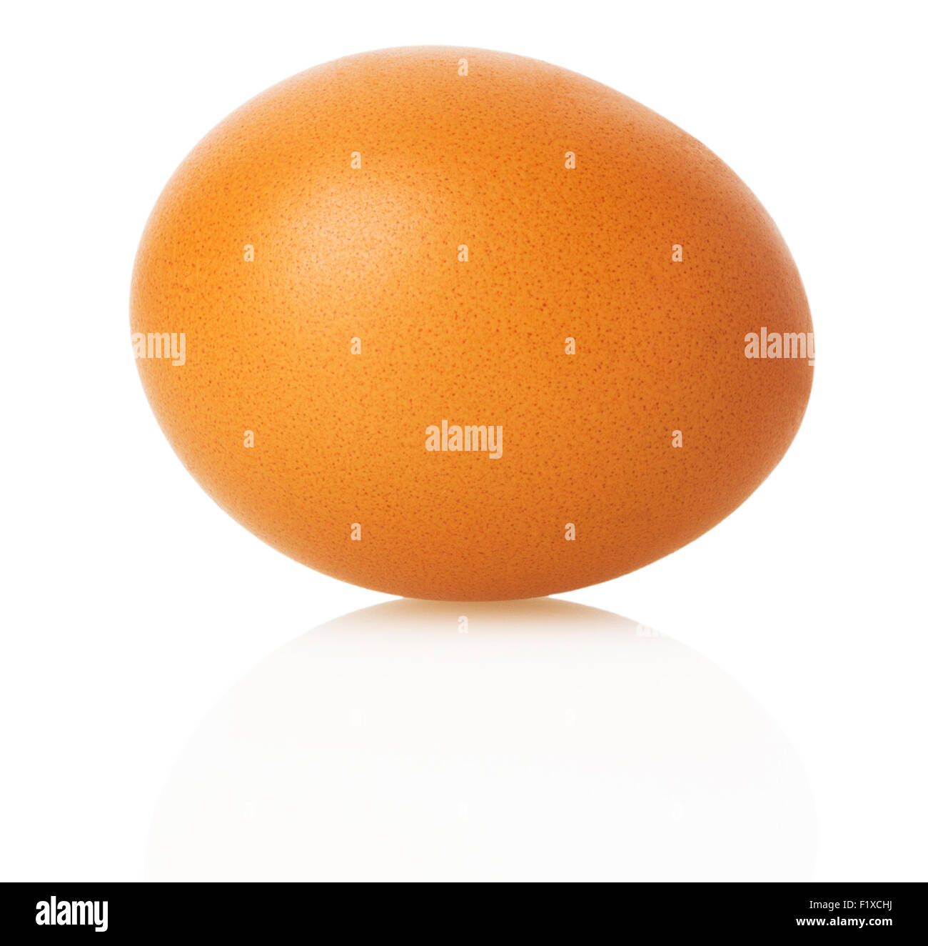 Brown egg sur fond blanc. Banque D'Images