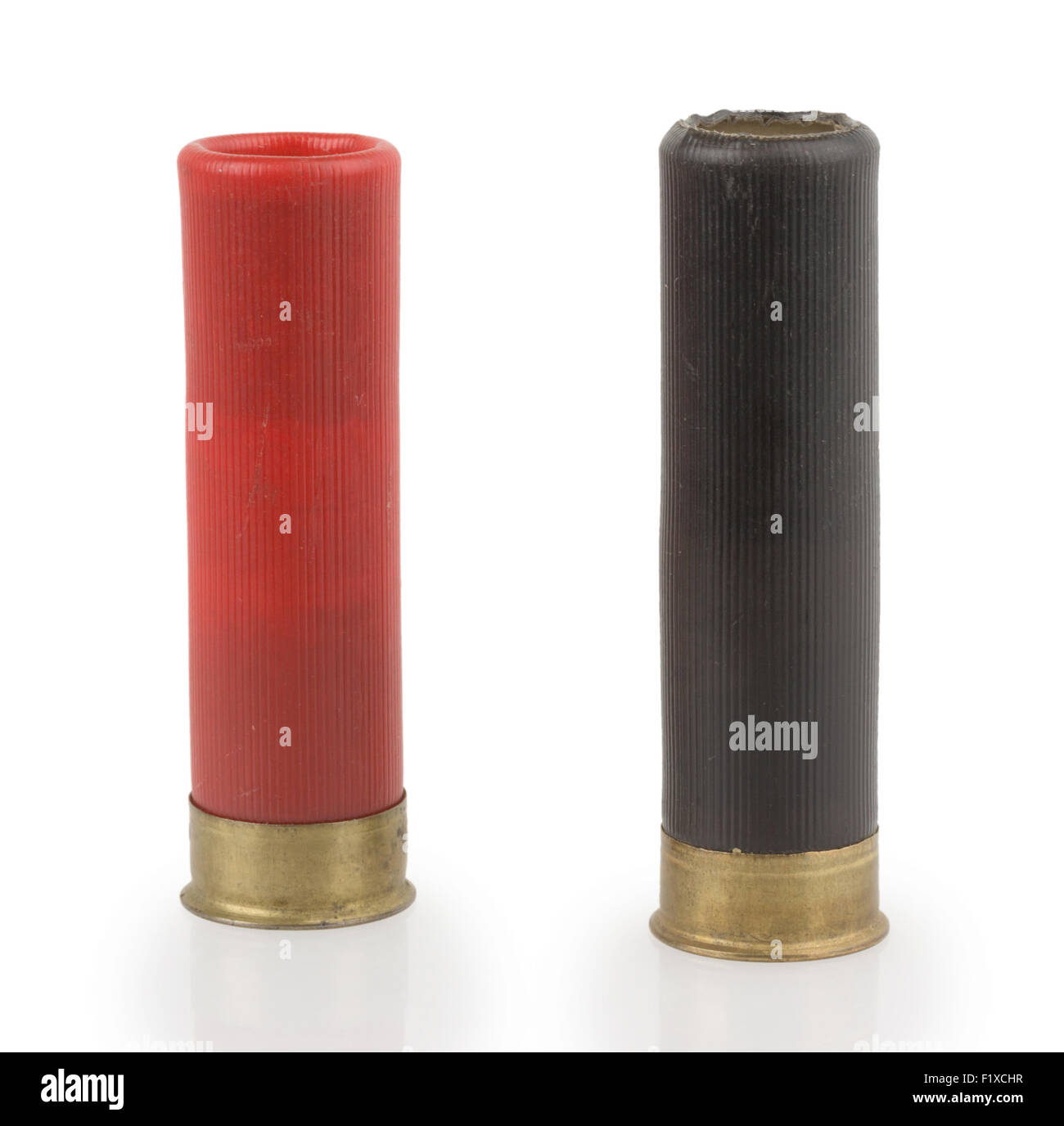 Cartouches de fusil sur fond blanc. Banque D'Images