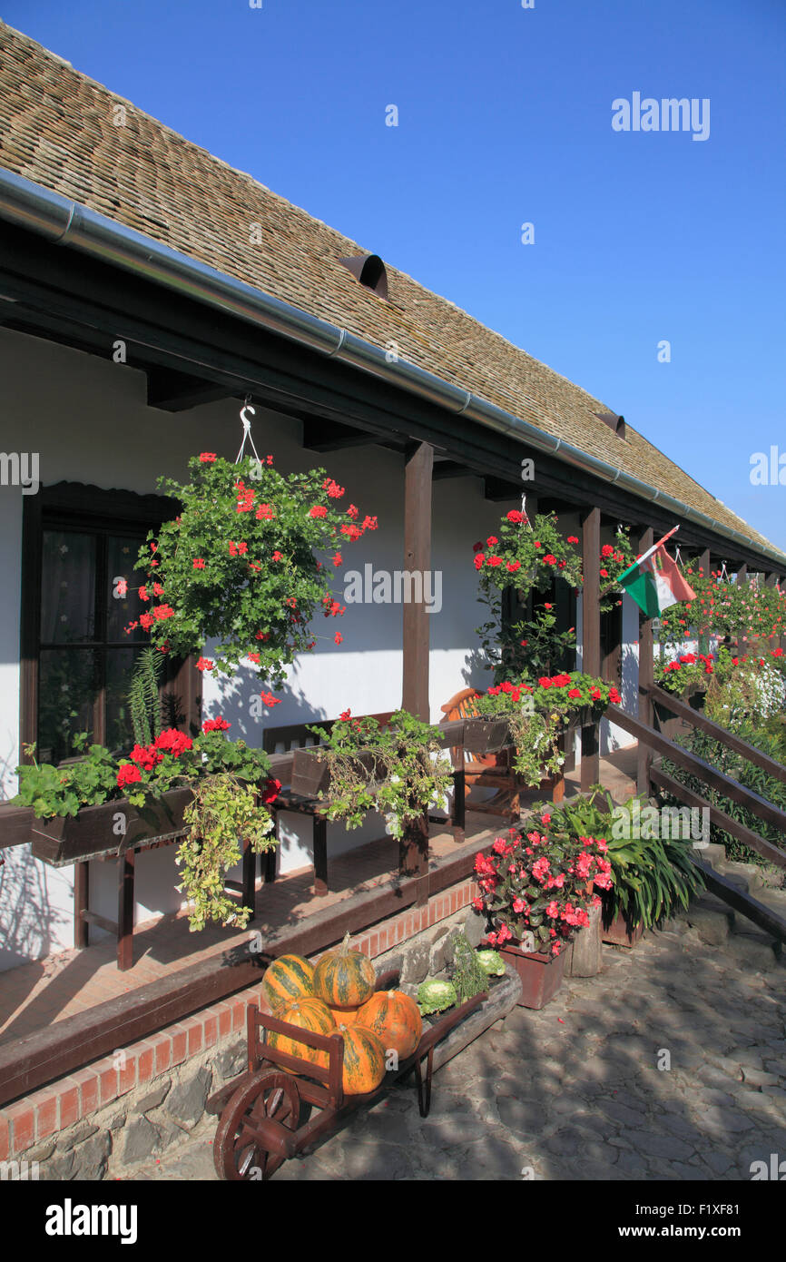 Maison de village traditionnelle Hongrie Hollókő fleurs porche Banque D'Images