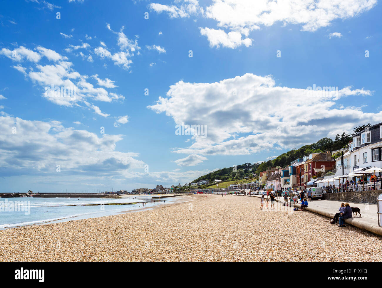La plage de la ville avec le derrière de Cobb, Lyme Regis, la baie de Lyme, sur la côte jurassique, Dorset, England, UK Banque D'Images