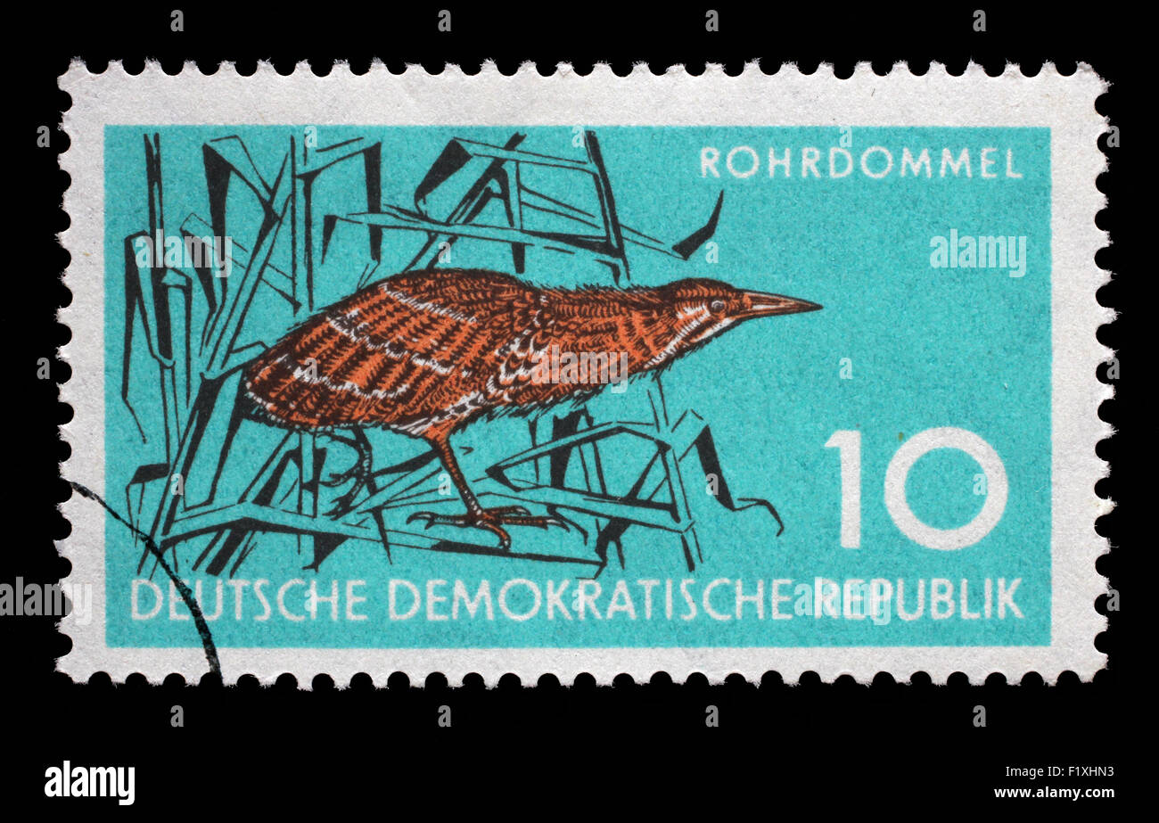 Timbres en RDA montre le Petit Blongios, Échassier, Protection de la faune, circa 1959 Banque D'Images