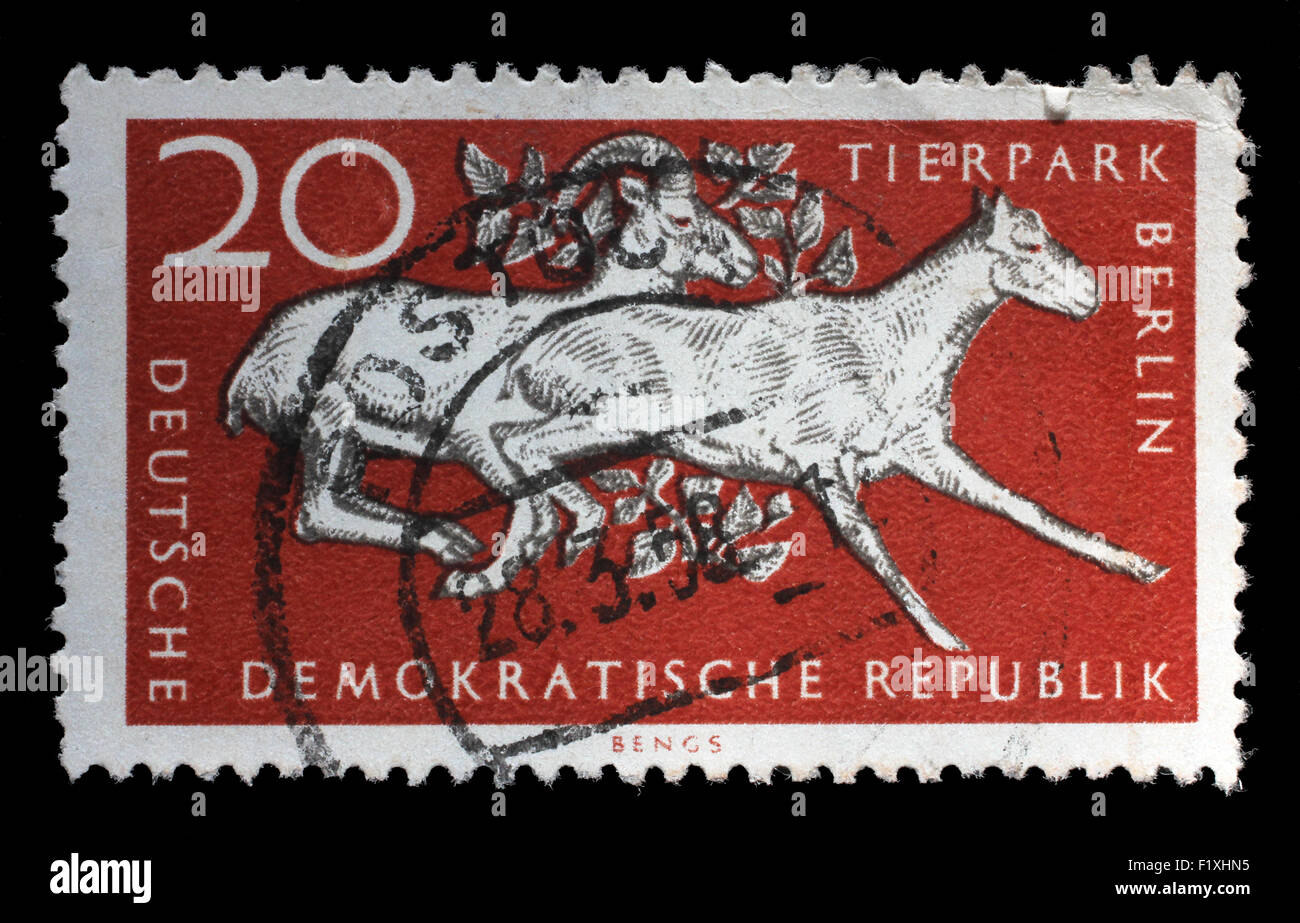 Timbres en RDA montre 10e anniversaire du zoo de Berlin, vers 1965 Banque D'Images