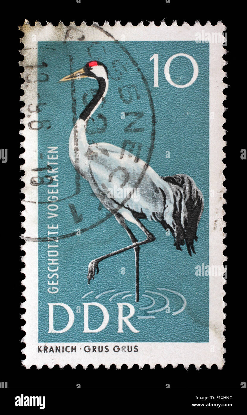 Timbres en RDA commun montre Crane, Grus grus, protection des oiseaux indigènes, vers 1967 Banque D'Images