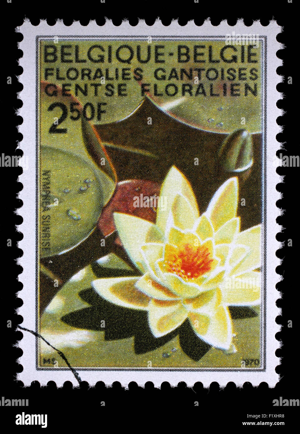 Timbres en Belgique du Ghent Flower Show question montre Water Lily, vers 1970. Banque D'Images