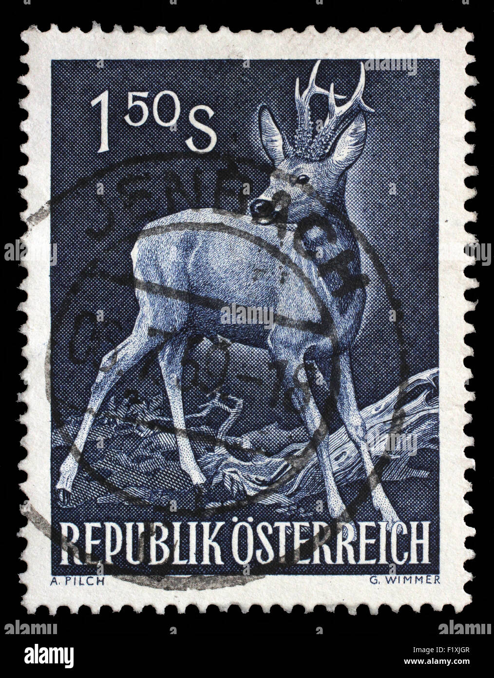 Timbres en l'Autriche montre Roe Buck, Chevreuil, Capreolus capreolus, Animal sauvage, circa 1959 Banque D'Images