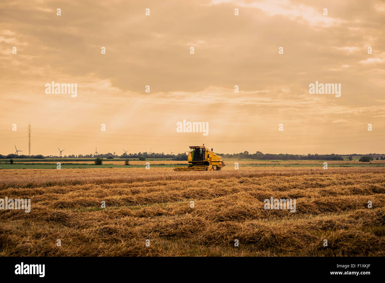 L'ensileuse machine sur un field with hay recadrée Banque D'Images