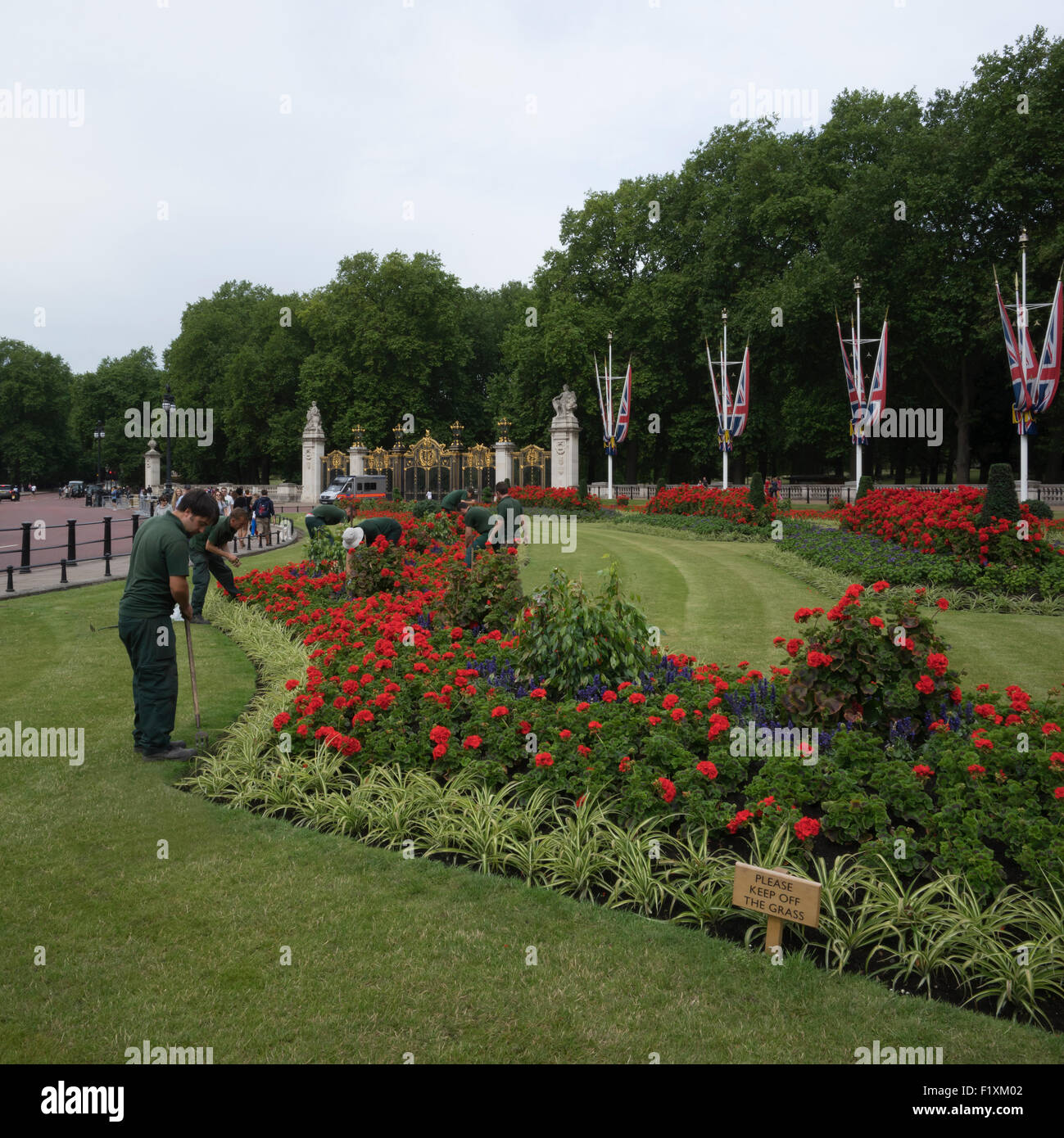 Jardiniers à raison de Buckingham Palace Banque D'Images