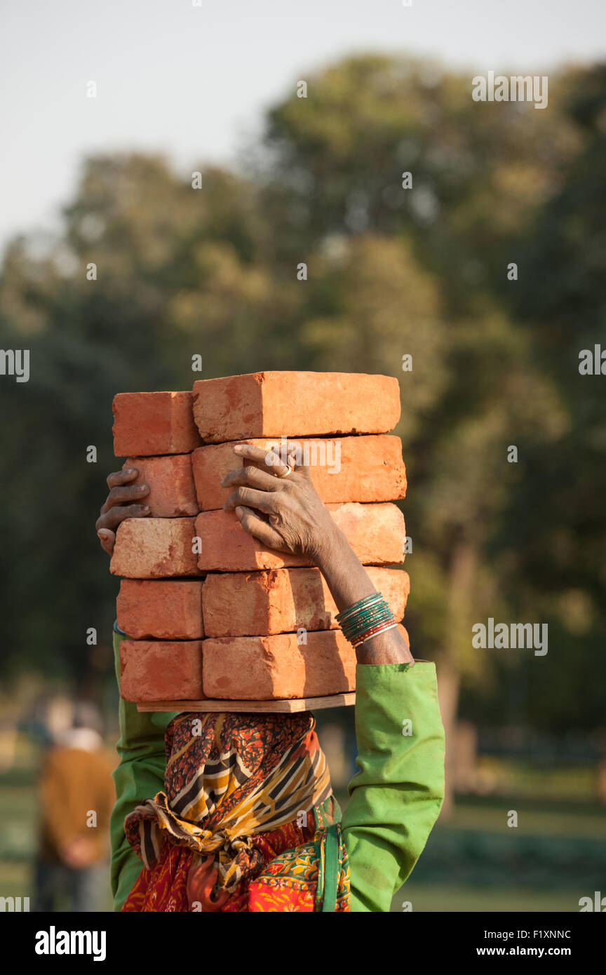 Delhi, Inde. Ouvrier Femme transportant 10 10 briques sur sa tête. Banque D'Images