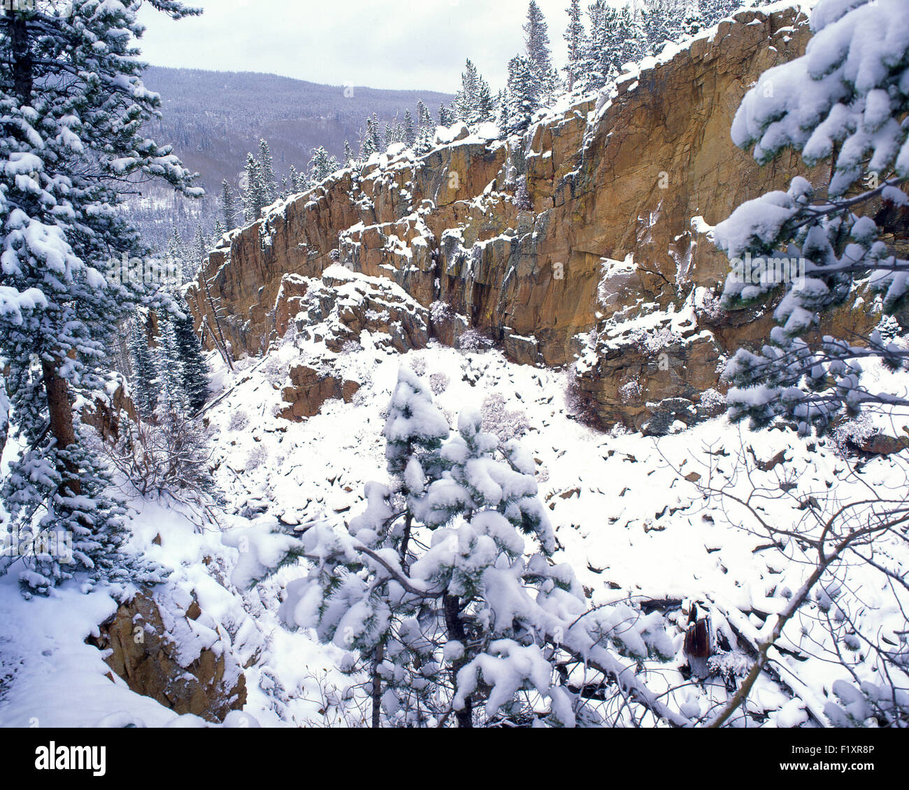 Rocky Mountain National Park Banque D'Images
