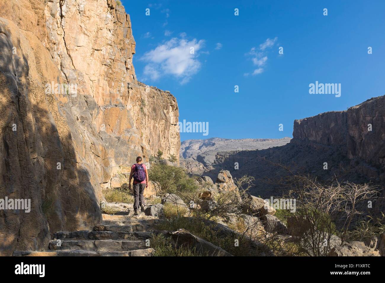 Sultanat d'Oman, gouvernorat de Ad-Dakhiliyah Al Hajar, montagnes, randonnées à partir du village de In Misfat al Abriyyin au pied du Djebel Shams Banque D'Images