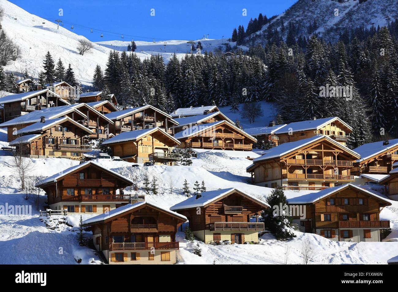 France, Haute Savoie, Le Grand Bornand, Chinaillon hamlet (1300m) Banque D'Images