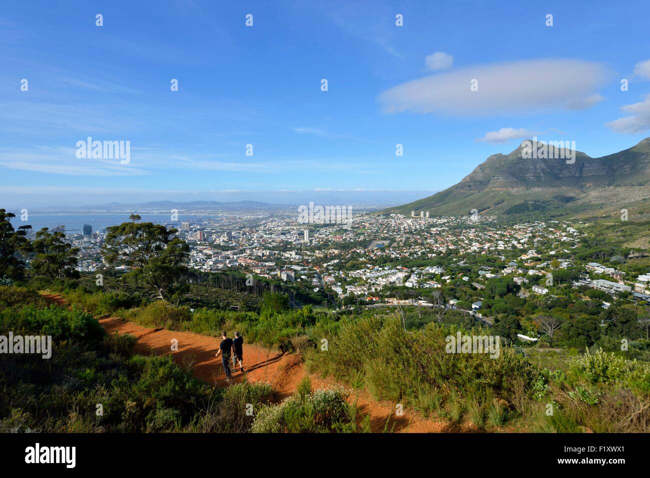 L'Afrique du Sud, Western Cape, Cape Town, Table Mountain, sentier de marche de Lion's Head à Signal Hill au-dessus de la ville de Cape Town Banque D'Images
