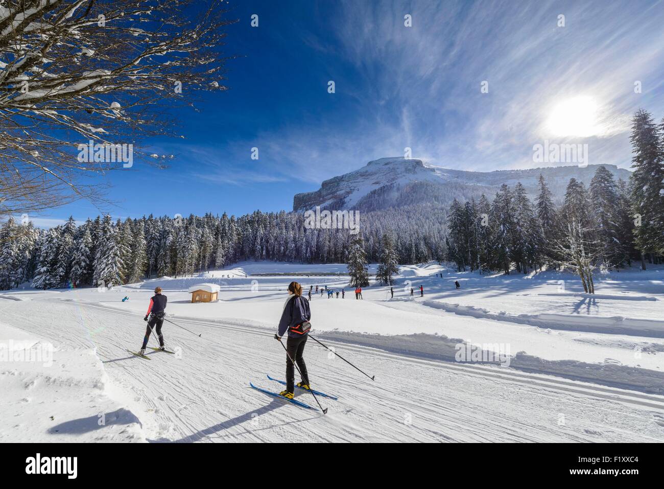 France, Isère, Parc Naturel Régional de la Chartreuse (parc naturel régional de Chartreuse), Col de porte (alt : 1326m), ski au pied de l'Achard, plus haut sommet du massif de la Chartreuse (alt : 2082m) Banque D'Images