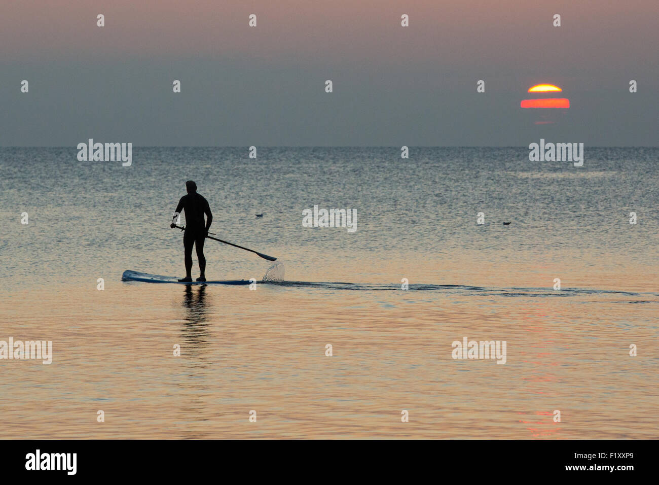 Aberystwyth, Pays de Galles, Royaume-Uni. 8 septembre 2015. Au cours d'une période de beau temps, se sont installés à la fin de l'été, un Stand Up Paddle boarder avec le soleil couchant derrière. Credit : Alan Hale/Alamy Live News Banque D'Images