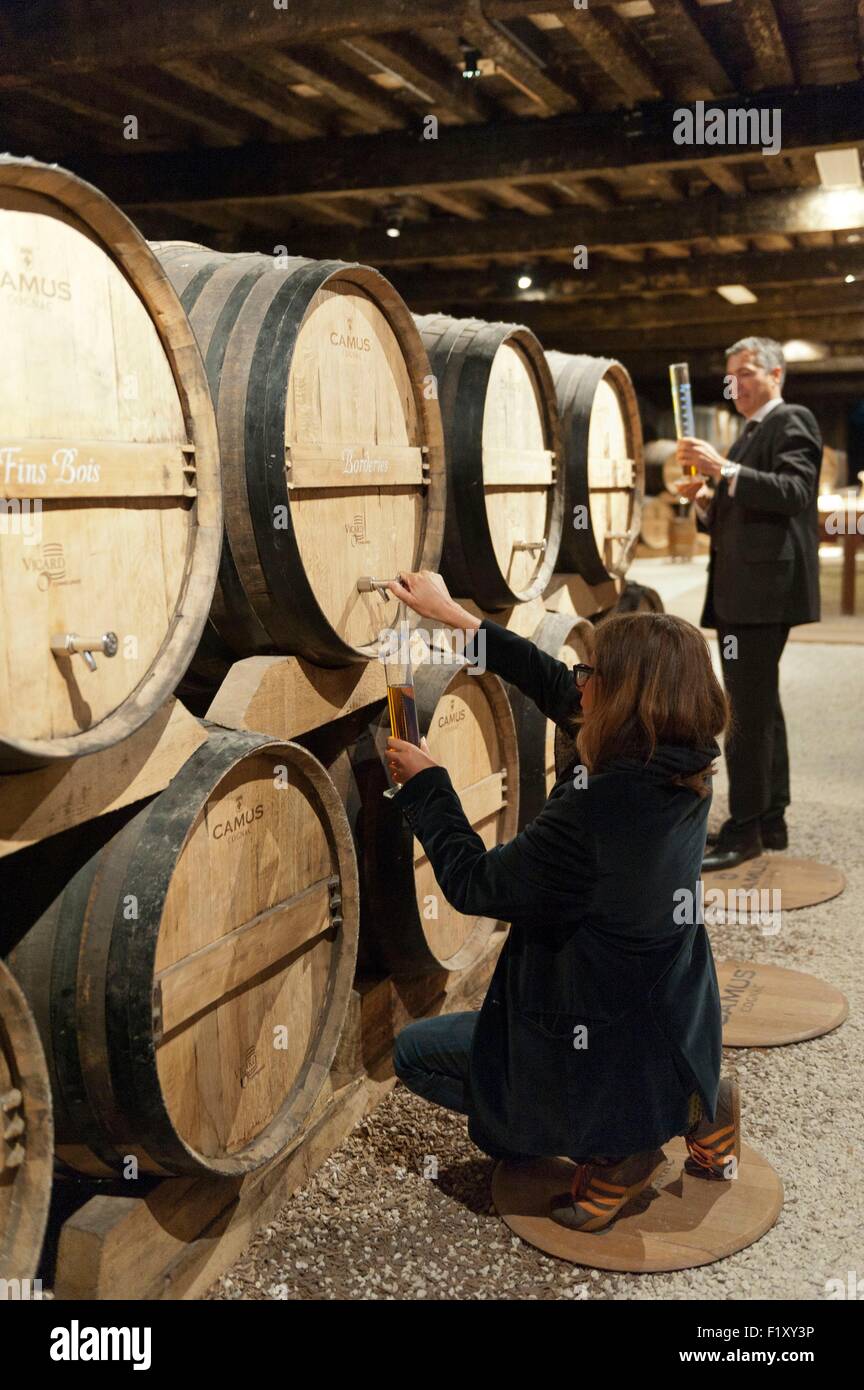 France, Charente, Cognac, cognac Camus, master blender atelier sous la direction de Patrick Leger maître de chai Banque D'Images