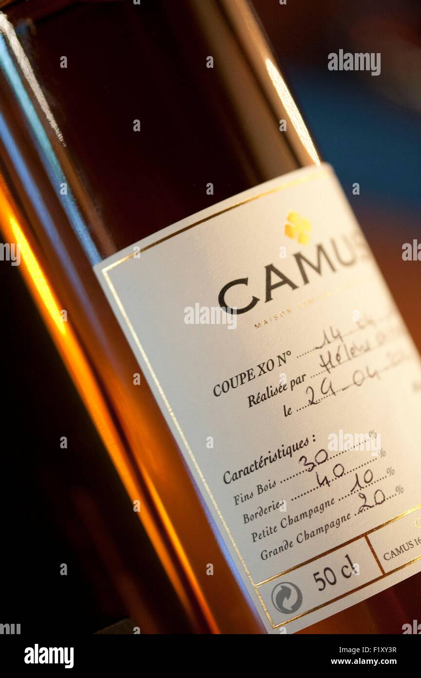 France, Charente, Cognac, cognac Camus, master blender atelier sous la direction de Patrick Leger master cave, bouteille de cognac XO faite par un client lors de l'atelier Banque D'Images