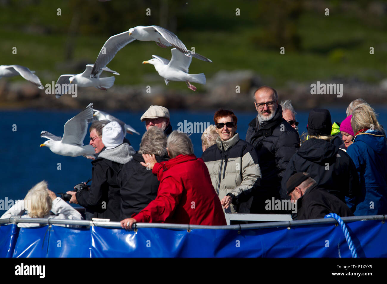 Beaucoup de touristes sur un bateau dans les Lofoten en Norvège Banque D'Images