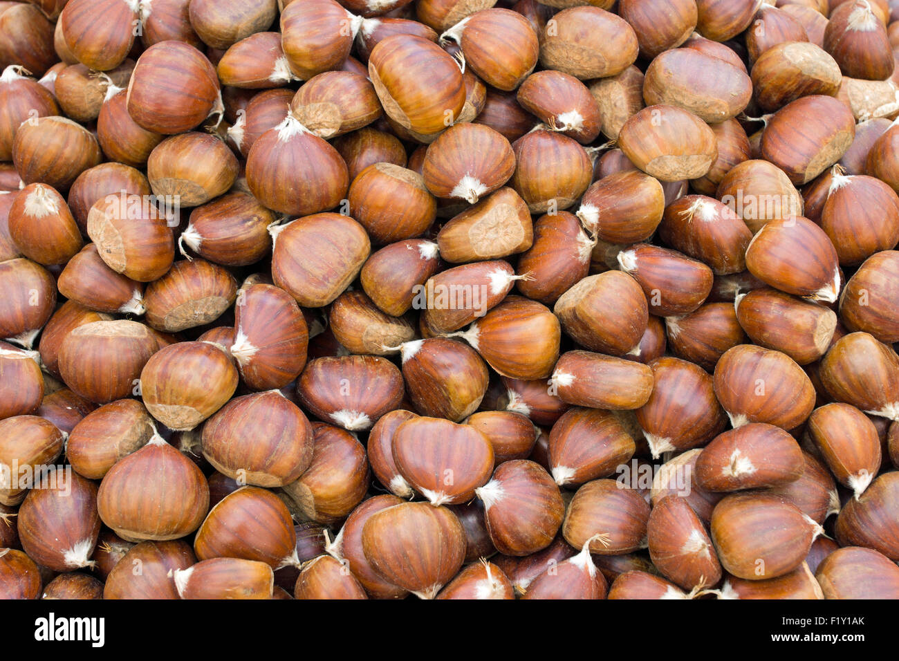 Un arrière-plan de nombreuses mûres et noisettes marron Banque D'Images