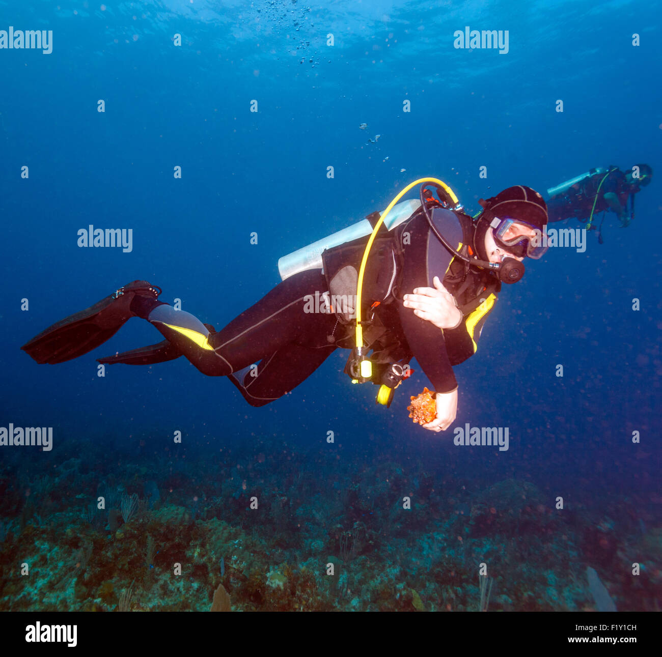 Jeune homme de Plongée sous marine entre la mer et la surface de l'eau bas Banque D'Images