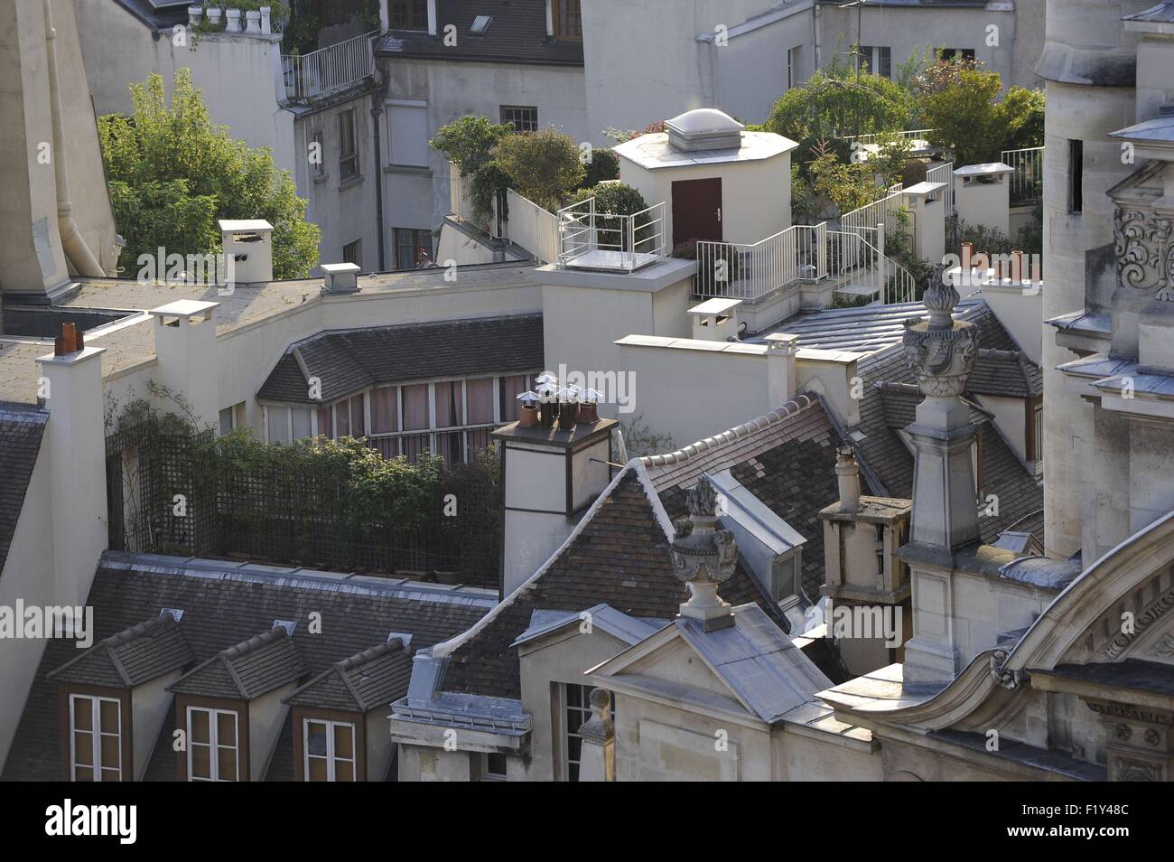 France, Paris, toits de Paris Banque D'Images