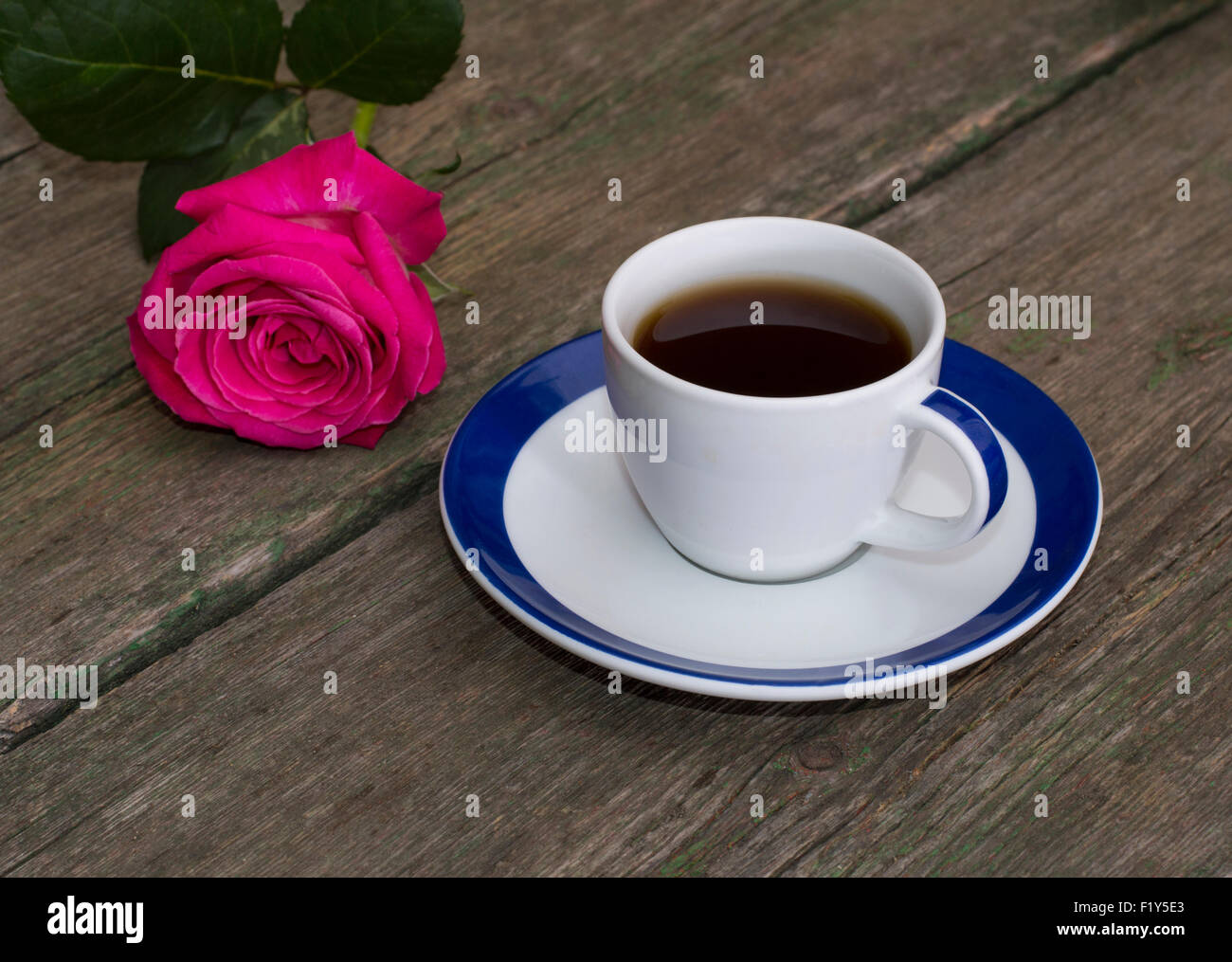Belle rose et café, carte de fête, La vie toujours de fête Banque D'Images