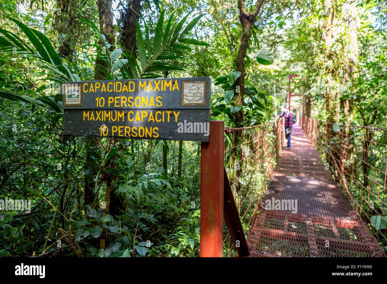 Monteverde cloud forest costa rica Banque de photographies et d’images ...