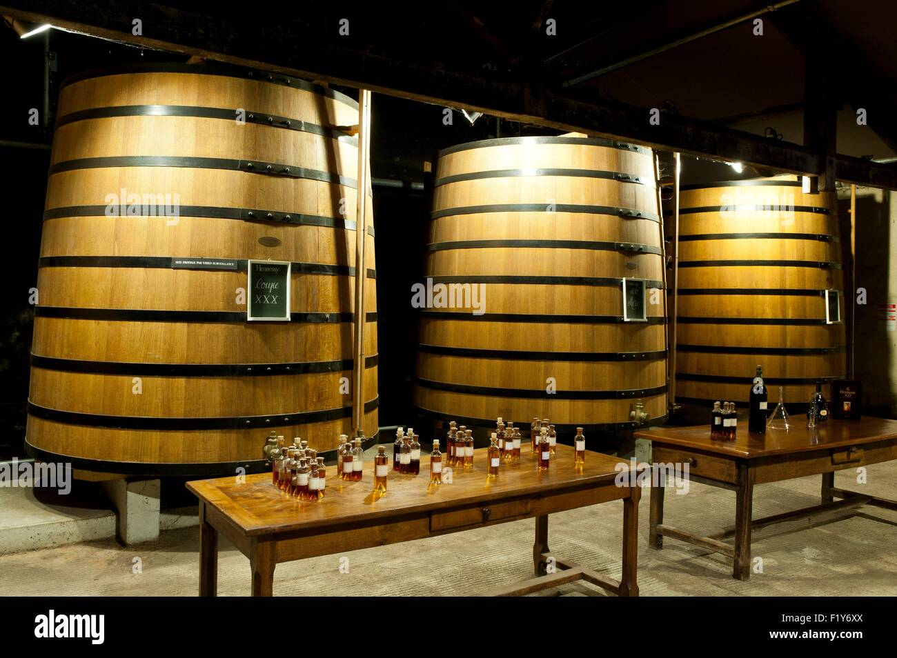 France, Charente, Cognac, Hennessy cognac house, cave, des réservoirs et des échantillons Banque D'Images