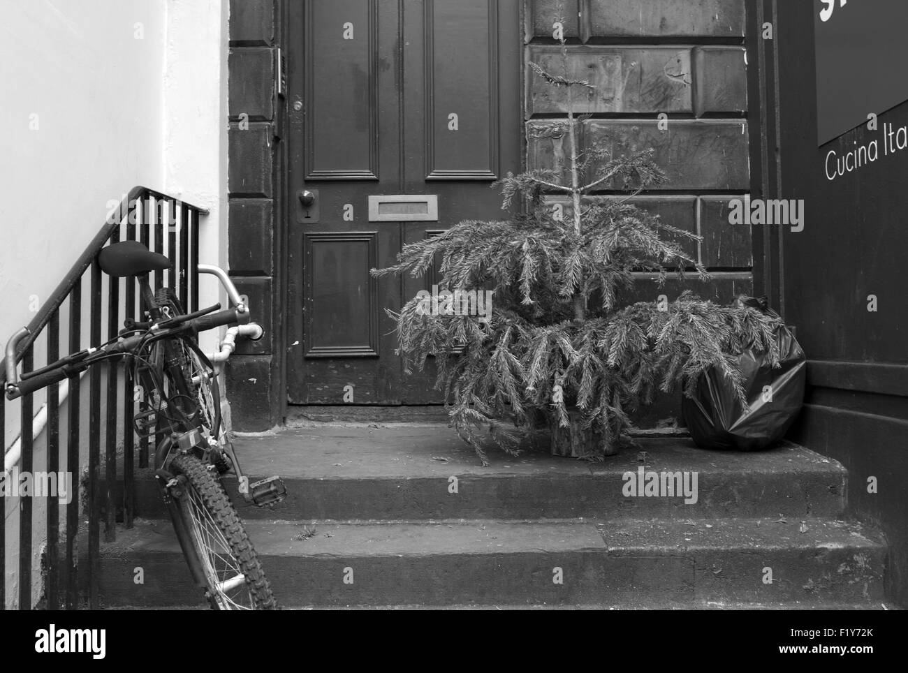 Arbre de Noël / Après Noël Banque D'Images