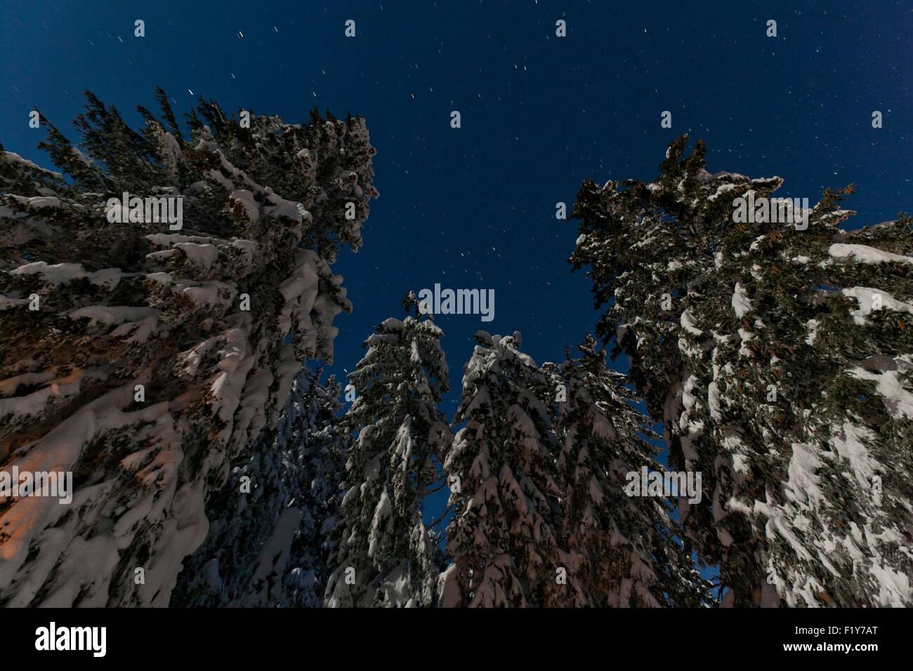 France, Haute-Savoie, les Alpes Bivouac propose nuits en igloo en Semnoz Banque D'Images