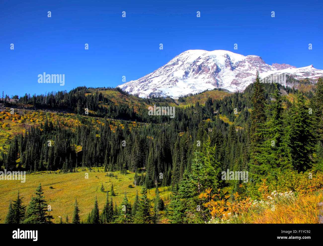 Clair au début de l'automne sur Mt. Rainier. Banque D'Images