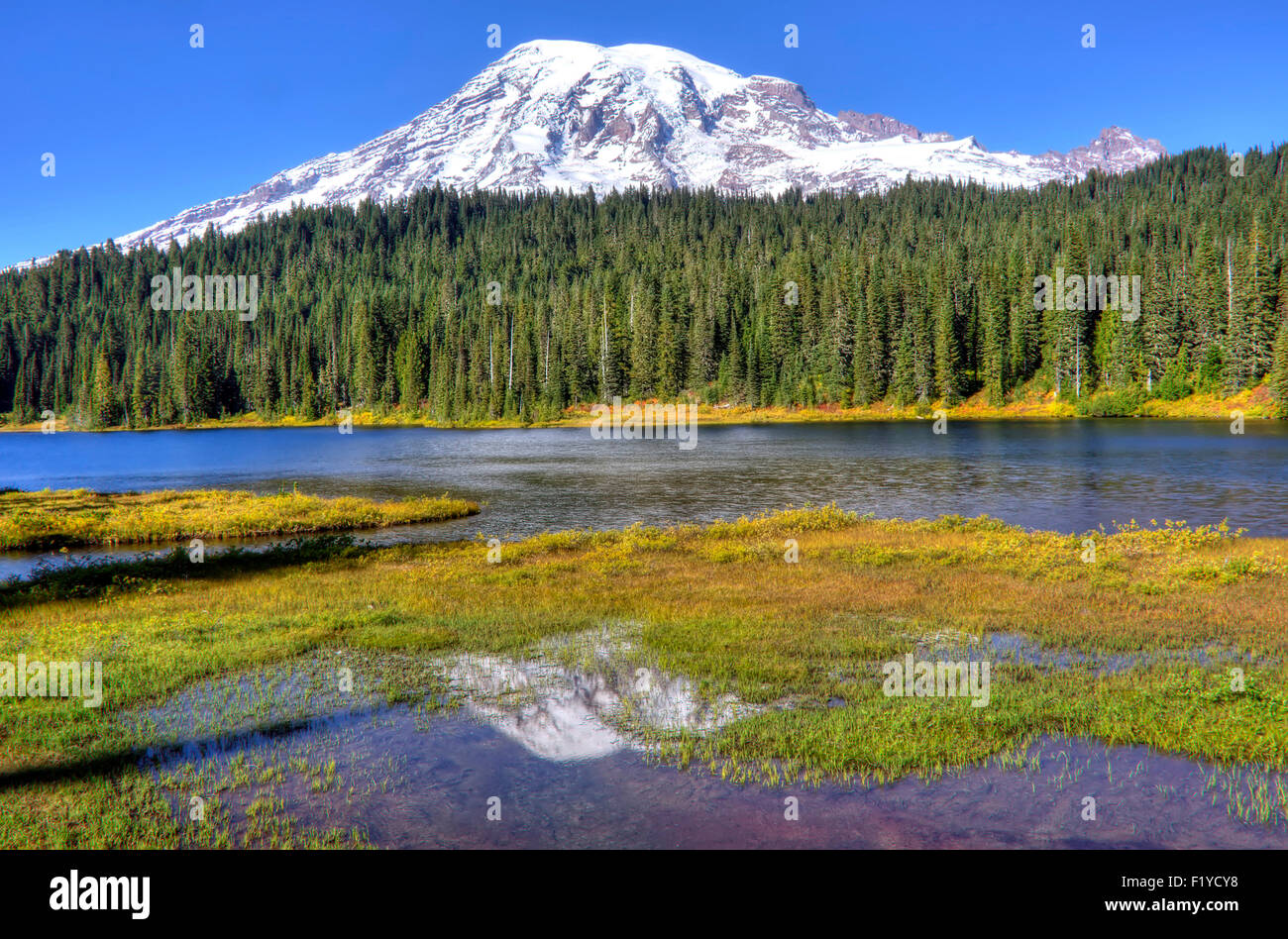 Au début de l'automne matins au lac de réflexion, Mt. Rainier. Banque D'Images