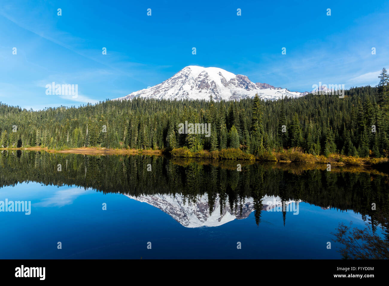 Au début de l'automne matins au lac de réflexion, Mt. Rainier. Banque D'Images
