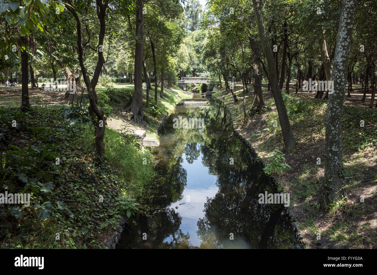 MEXICO, Mexique — le parc de Chapultepec, souvent appelé les « poumons