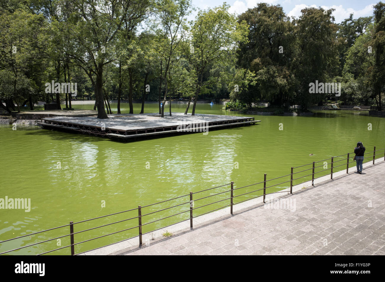 MEXICO, Mexique — le parc de Chapultepec, souvent appelé les « poumons