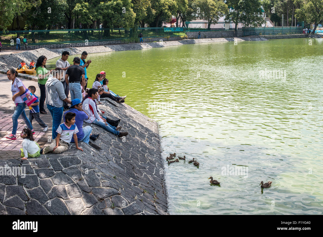MEXICO, Mexique — le parc de Chapultepec, souvent appelé les « poumons