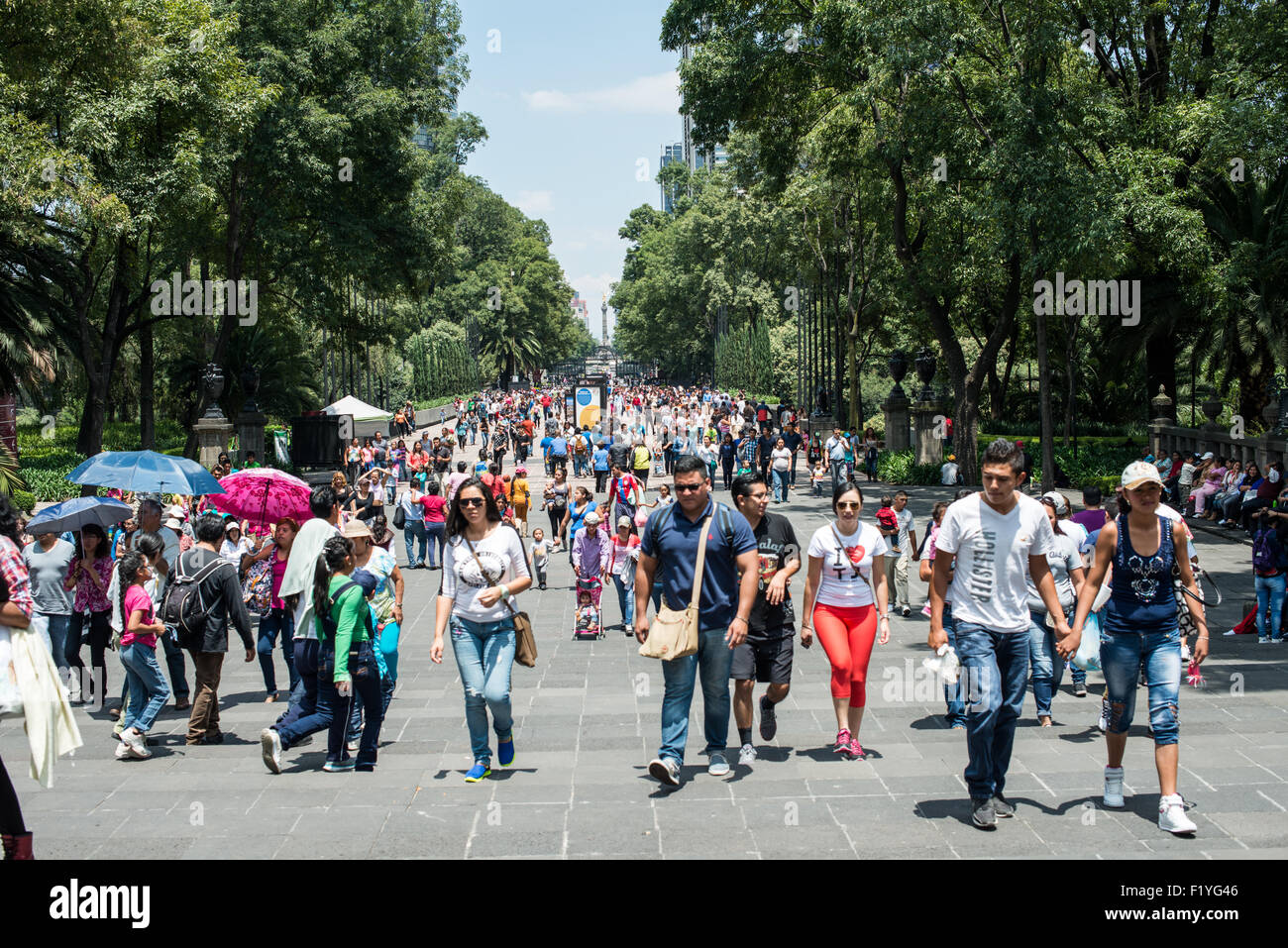 MEXICO, Mexique — le parc de Chapultepec, souvent appelé les « poumons de Mexico », offre un souffle d'air frais au milieu de la métropole animée. En tant que l'un des plus grands parcs urbains de l'hémisphère occidental, c'est un site écologique, culturel et historique important qui sert de centre récréatif pour les habitants et les touristes. Banque D'Images