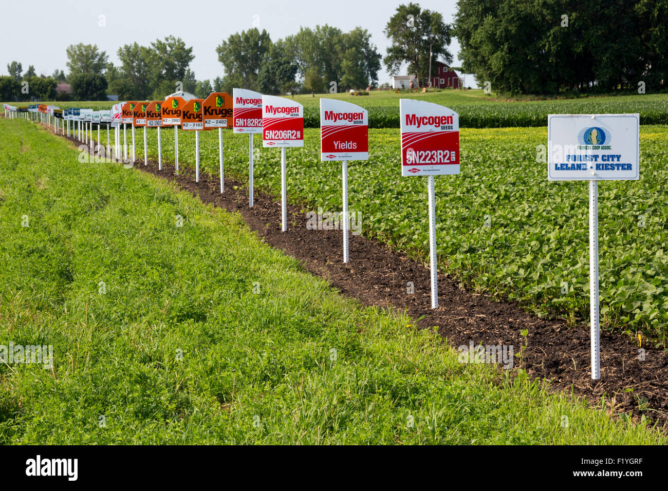 Forest City, Iowa - Signes marquer différentes variétés de cultures dans un champ de soja, y compris les cultures génétiquement modifiées. Banque D'Images