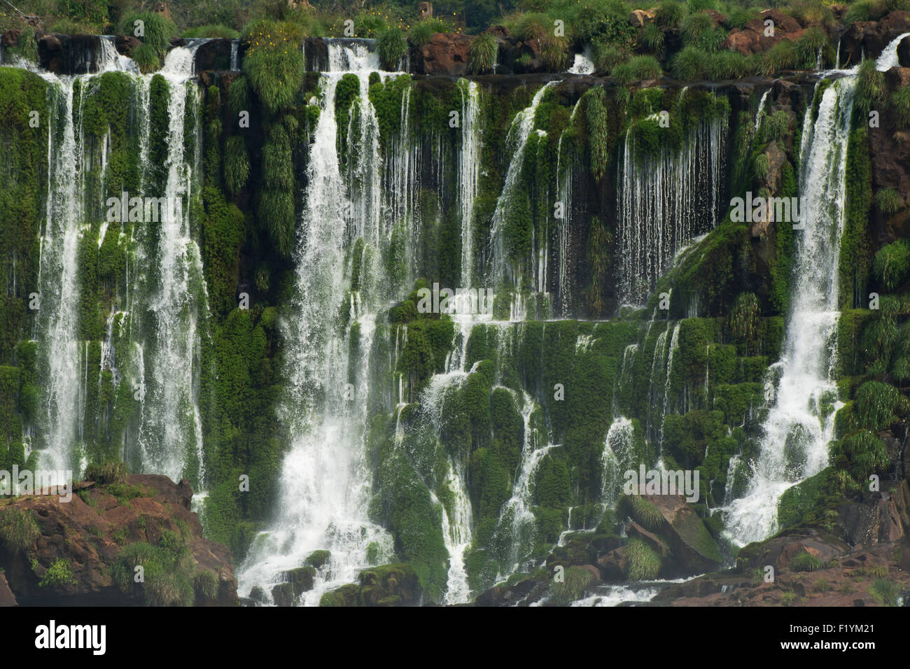 Iguazu Falls,Brouillard,Cascade,Argentine,Scenic Banque D'Images