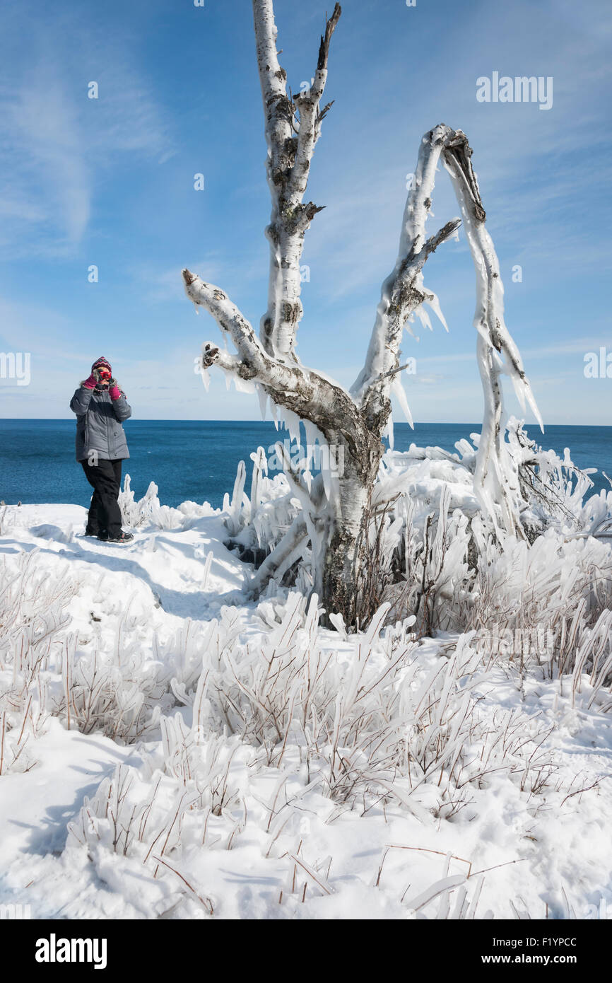 Une femme prend une photo de branches couvertes de glace tout en explorant une forêt gelée le long du lac Supérieur dans l'hiver Banque D'Images