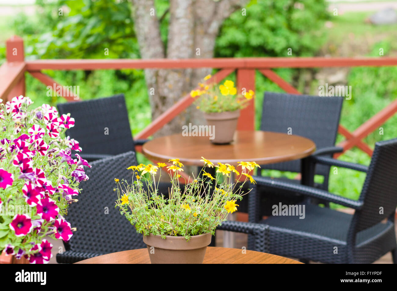 Image floue d'une terrasse de café avec des pots de fleurs Banque D'Images