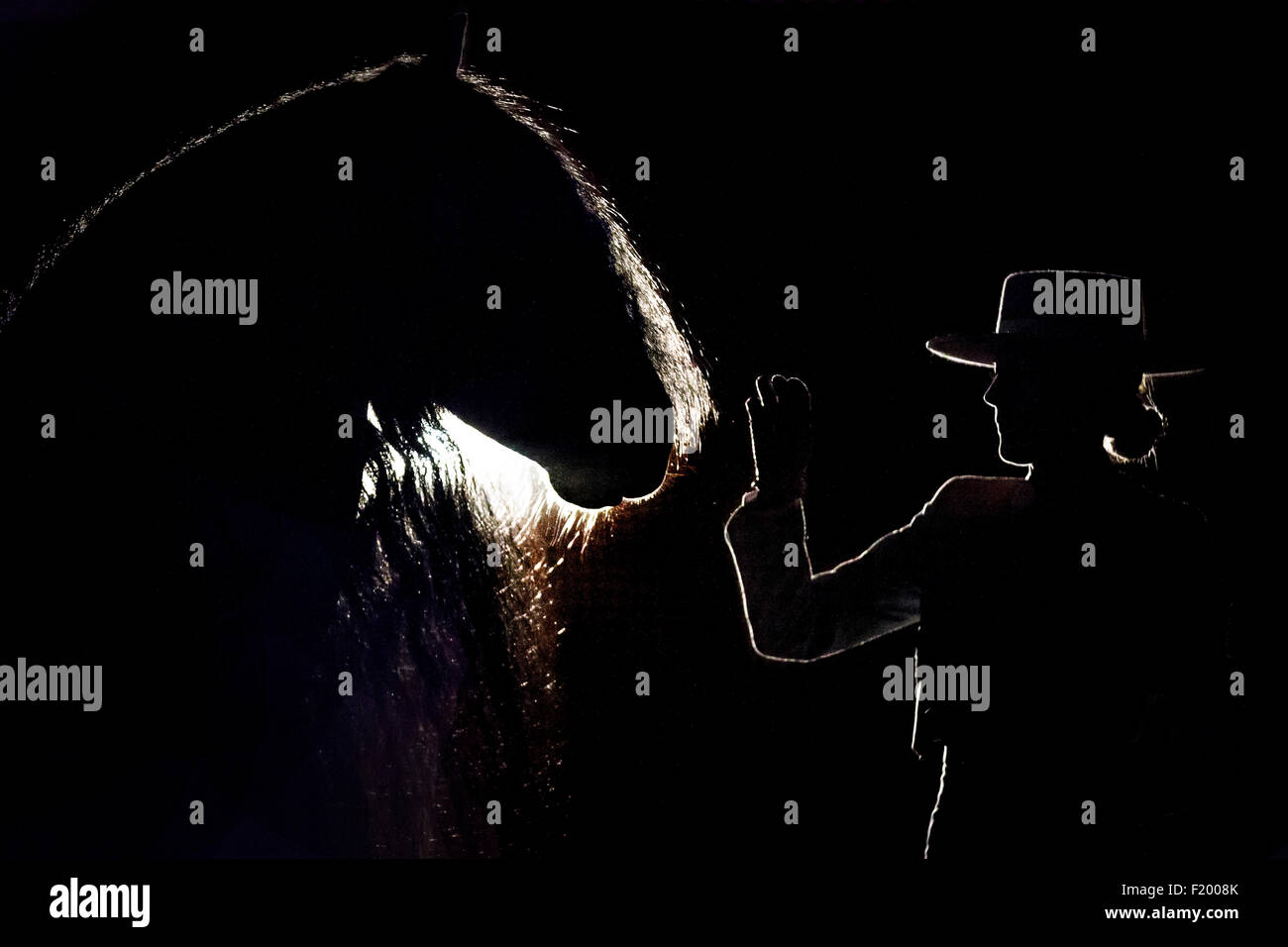 Cheval frison étalon noir et lady équitation costume et hat vu sur fond noir allemagne Banque D'Images