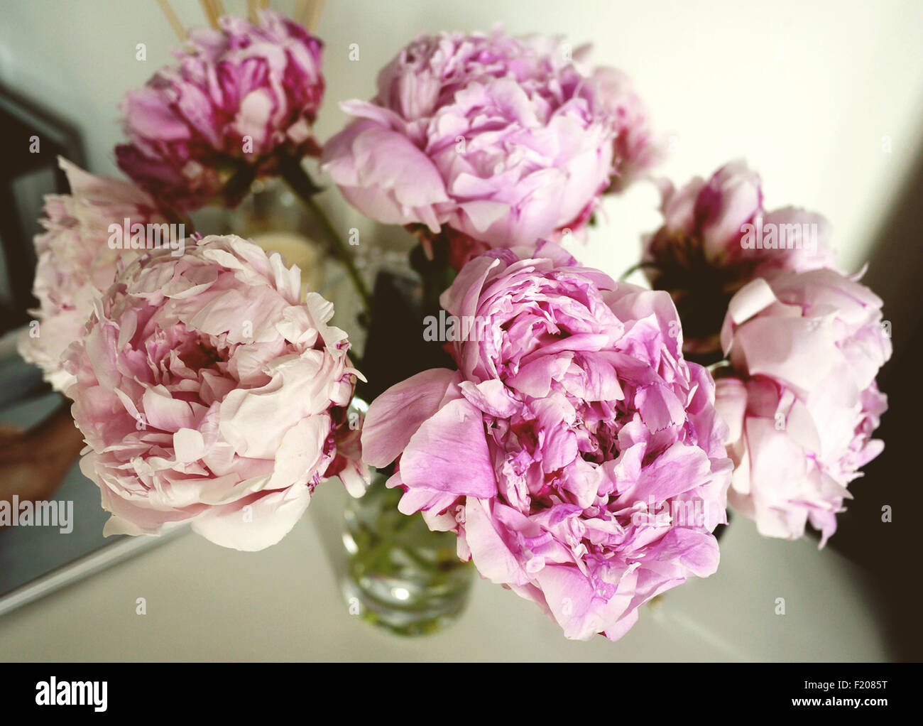 Les Pivoines rose dans un vase Banque D'Images