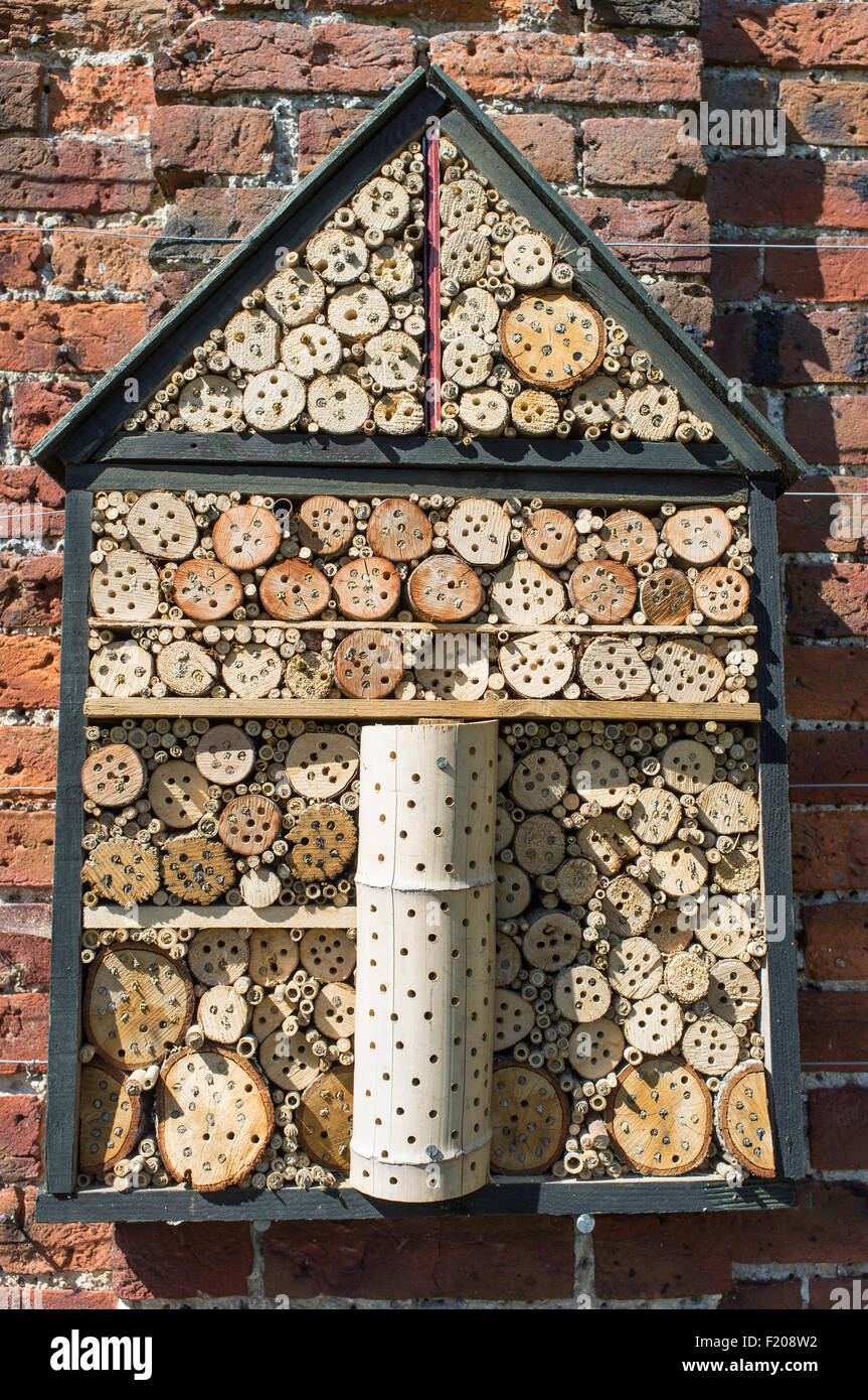 Insect House monté sur mur en briques anciennes Banque D'Images
