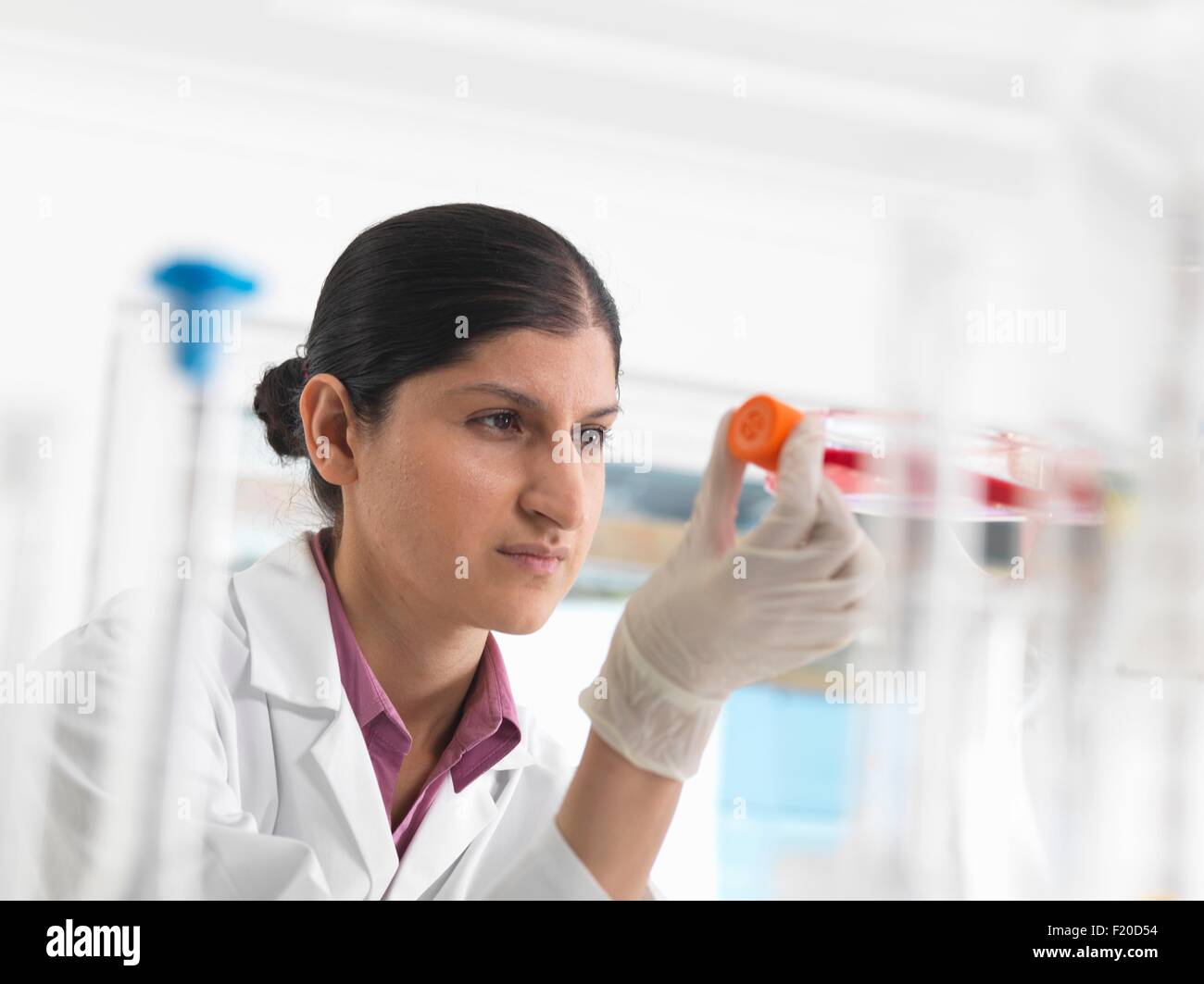 Biologiste en laboratoire, femme tenant un ballon contenant des cellules souches Banque D'Images