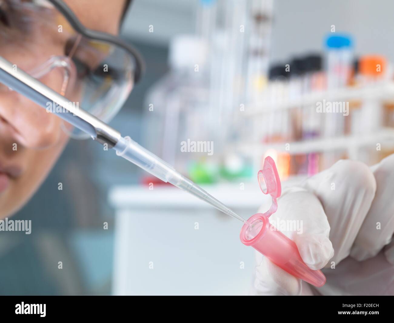 Close up of female scientist pippetting d'échantillon dans un tube Eppendorf pour analyse en laboratoire Banque D'Images