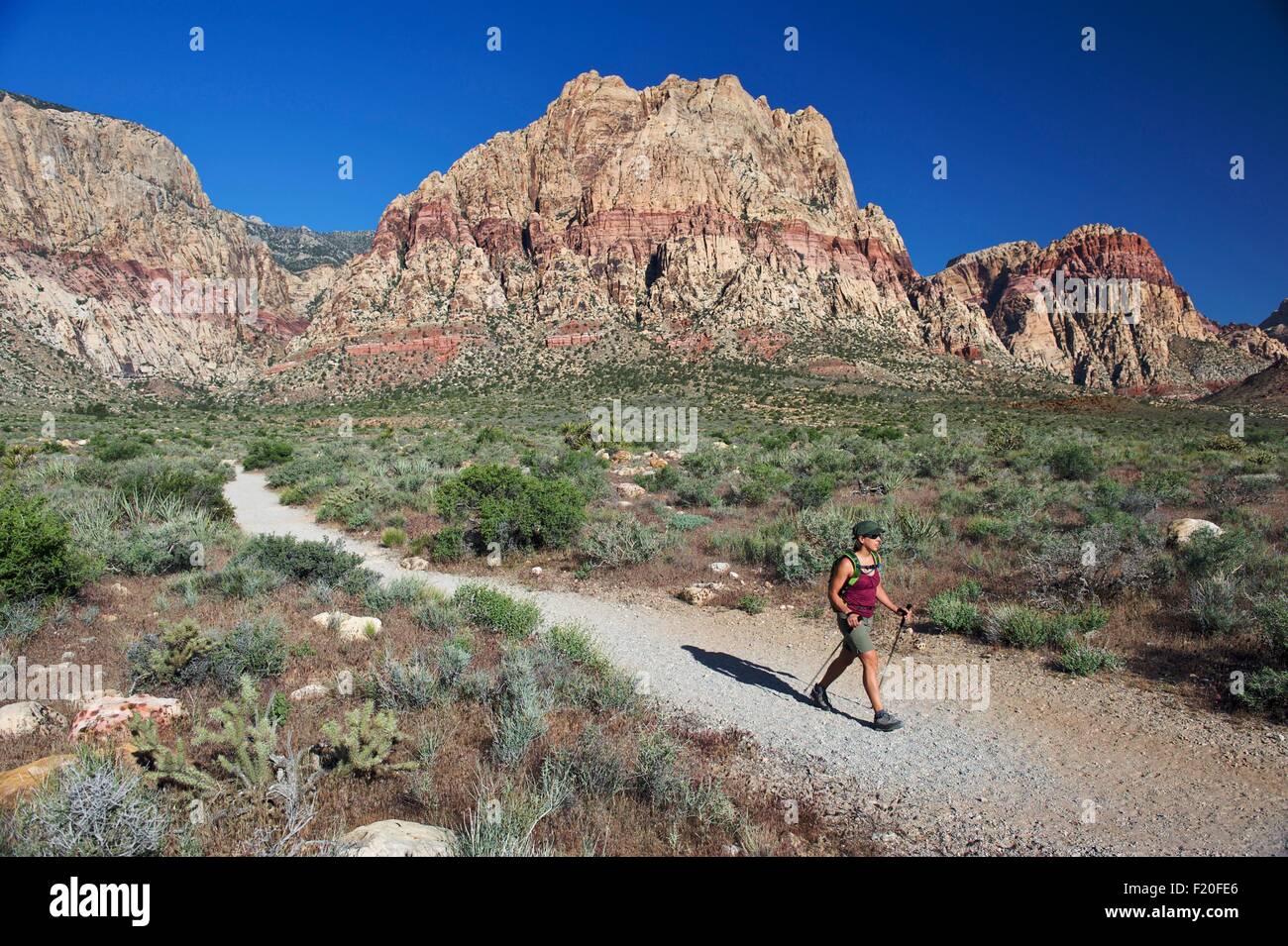 Vue latérale du randonneur marchant le long trail, Première Creek, Las Vegas, Nevada, USA Banque D'Images