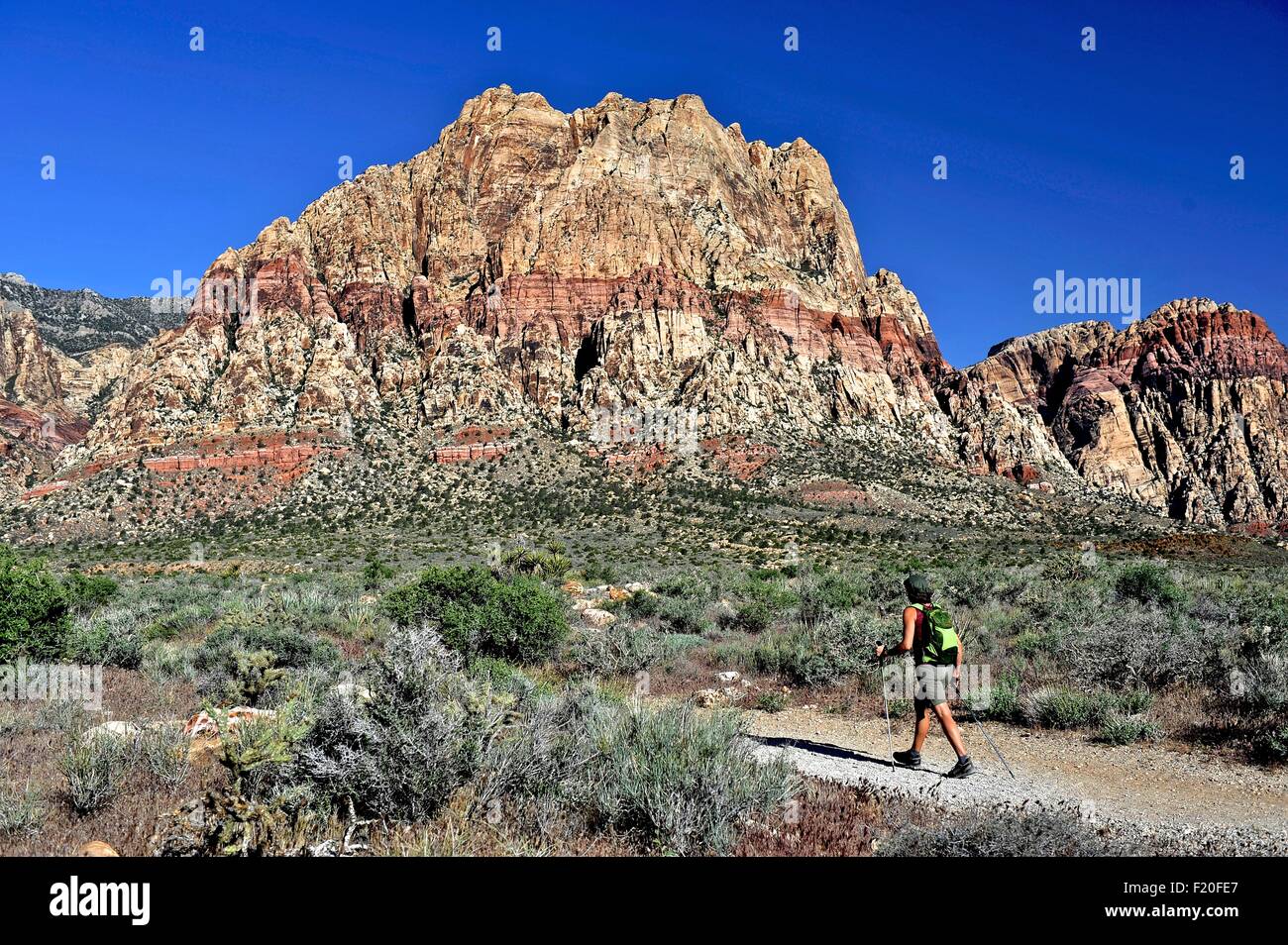 Vue arrière du randonneur marchant le long trail, Première Creek, Las Vegas, Nevada, USA Banque D'Images