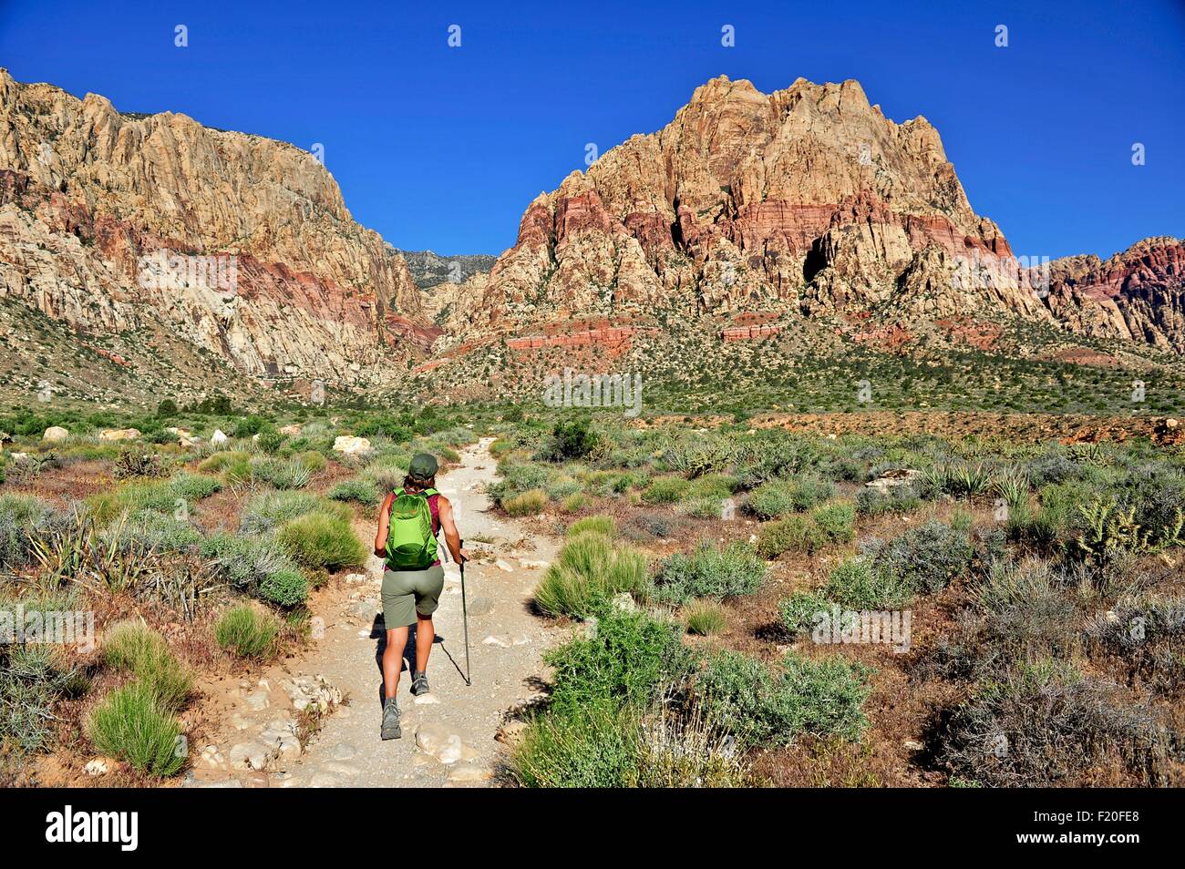 Vue arrière du randonneur marchant le long trail, Première Creek, Las Vegas, Nevada, USA Banque D'Images